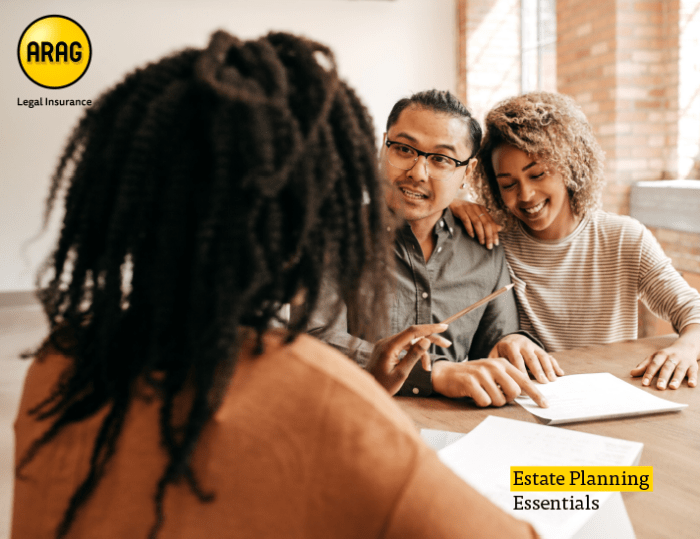 Estate Planning Essentials: Crafting the Important Documents - John G ...